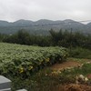 医生