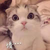 沫晗妈妈