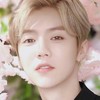 鹿晗