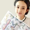 赵丽颖