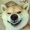 校长