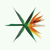 EXO(除城堡外)