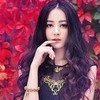 迪丽热巴