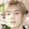 鹿晗