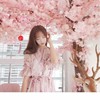 安可芯