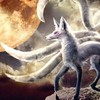 九幽冥狐