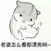 老师