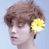 鹿晗