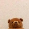 教官
