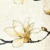作者