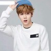 鹿晗
