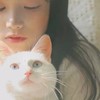 易烊千月