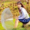 星然子韵