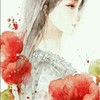 冷百合