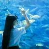 夏语欣