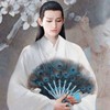 沈常青