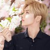 鹿晗