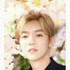 鹿晗