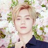 系统鹿晗