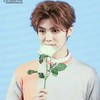 鹿晗