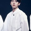 边伯贤