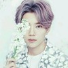 鹿晗