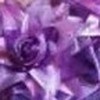 花痴