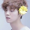 鹿晗