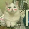 可乐