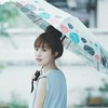 林辰星