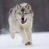 雪冥
