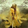 上官翼轩