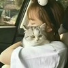 韩芷瑜