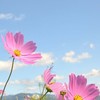 王老师