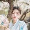 桃柒
