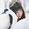 紫珣樱