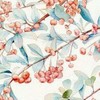 戈雪盈