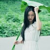 夏老师