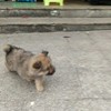 张晓丽