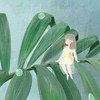 小柠檬