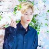 鹿晗