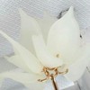 馨,沫,淼