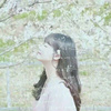 鹿七七