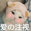 作者菌
