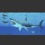 巨齿鲨