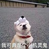 全体练习生