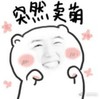 撒子作者