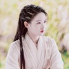杨不悔