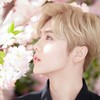 鹿晗
