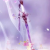 紫霞剑